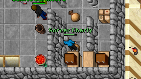 Sorcer Charly on screen