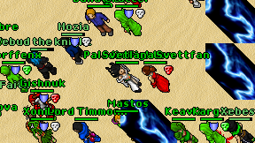 Paladin Fighter on screen