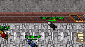 Sver Dydare on screen