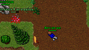 Arcarae on screen