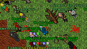 Catarinao on screen