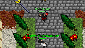 Harry Potsmoker on screen