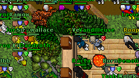 Vandilleuse on screen