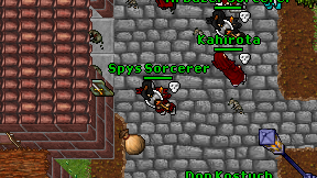 Spys Sorcerer on screen