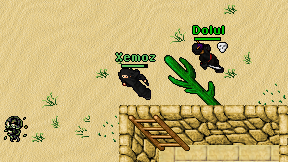 Xemoz on screen
