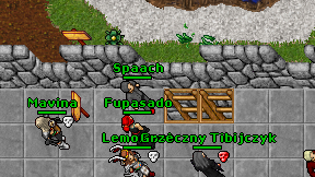 Spaach on screen