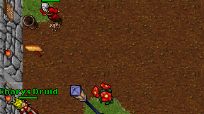 Charys Druid on screen