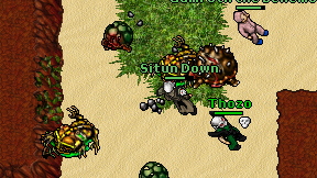 Situn Down on screen