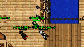 Bimbual on screen