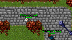 Eldereczek on screen