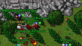 Druidden bono on screen