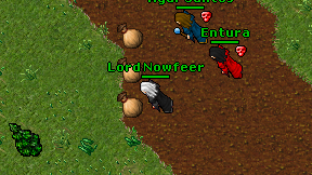 Lord Nowfeer on screen