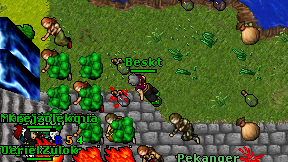 Beskt on screen