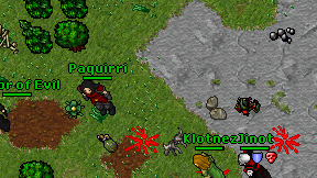 Paquirri on screen