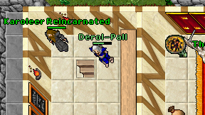 Derol-Pall on screen
