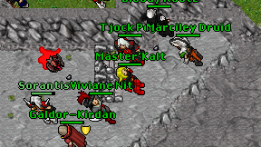 Master'Kalt on screen