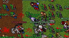 Plieger on screen
