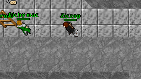 Ziczop on screen
