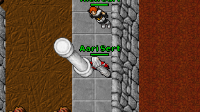 Aari Sert on screen
