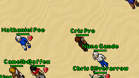 Cris Pro on screen