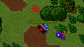 Night'Thunder on screen