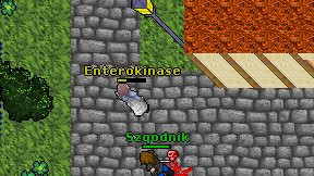 Enterokinase on screen
