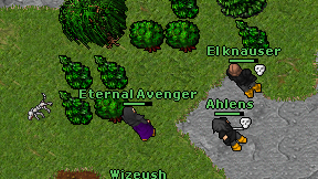 Eternal Avenger on screen