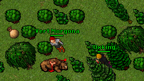Vert Morgona on screen