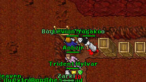 Levion Mage on screen