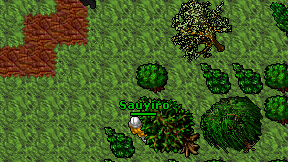 Sauyiro on screen
