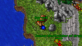 Sorvek on screen