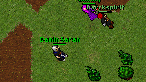 Damin Saran on screen