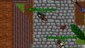 William Longer on screen