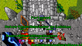 Fortuneek on screen
