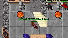 Druid Thunderwave on screen