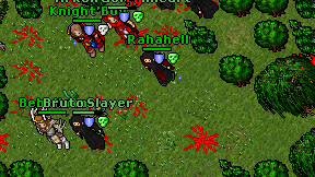 Rahahell on screen