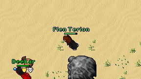 Fien Terion on screen