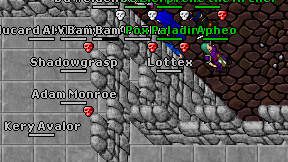 Lottex on screen