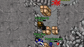 Nikipra on screen