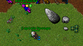 Captain Sponge on screen