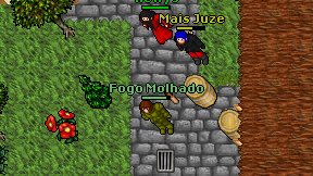 Fogo Molhado on screen