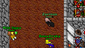 Zarioun on screen