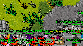 Gburia Furia on screen
