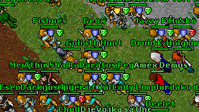 Holgrim on screen