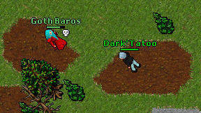 Dark'Tatoo on screen