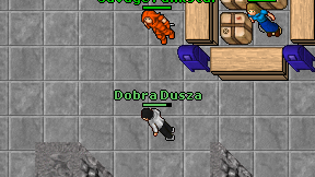 Dobra Dusza on screen