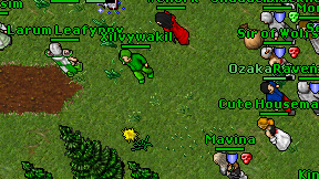 Xilvywakil on screen