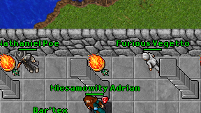 Furious Vegetto on screen