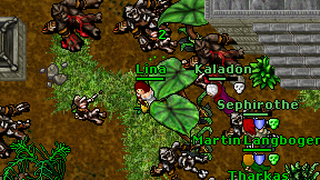 Lina on screen
