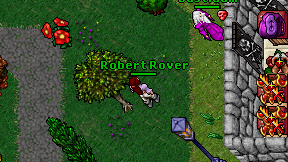 Robert Rover on screen